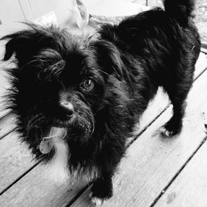 Meet your Posher, Kim